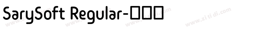 SarySoft Regular字体转换